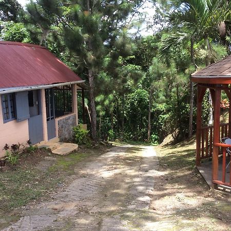 Отель Mahogany Ridge Arouca Экстерьер фото