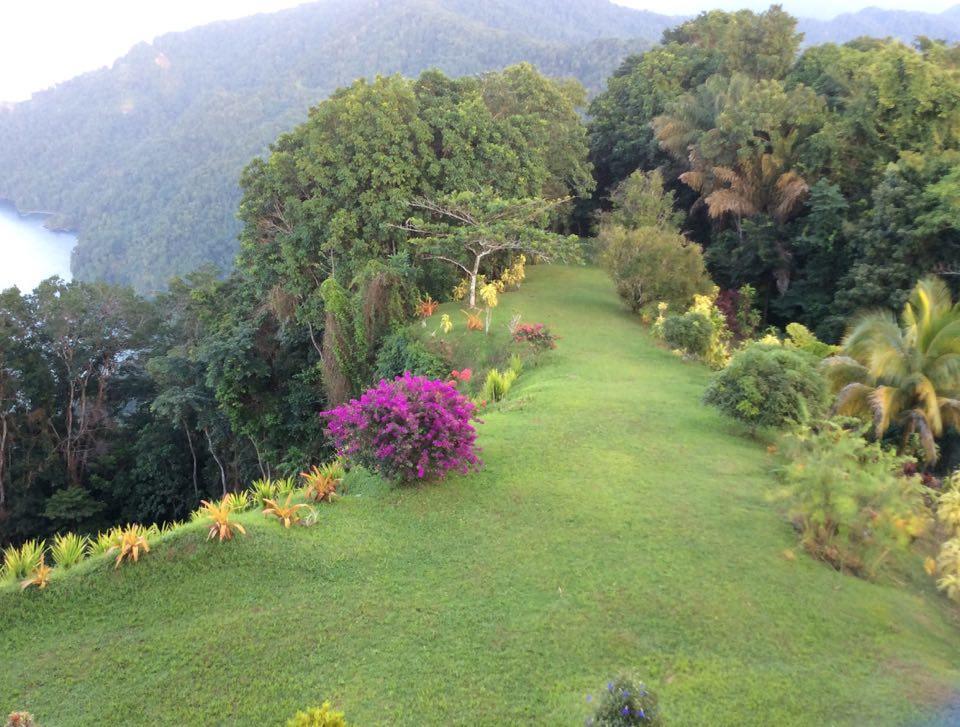 Отель Mahogany Ridge Arouca Экстерьер фото