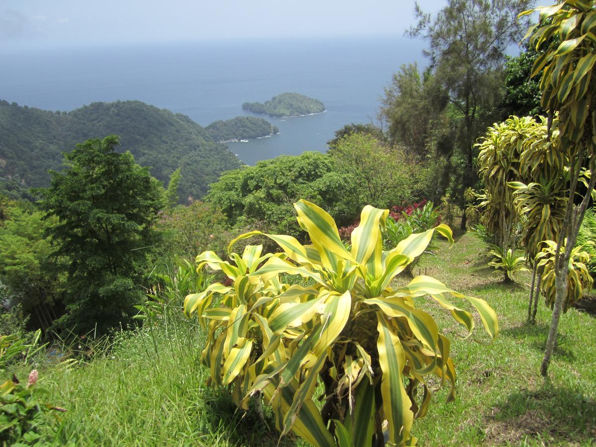 Отель Mahogany Ridge Arouca Экстерьер фото