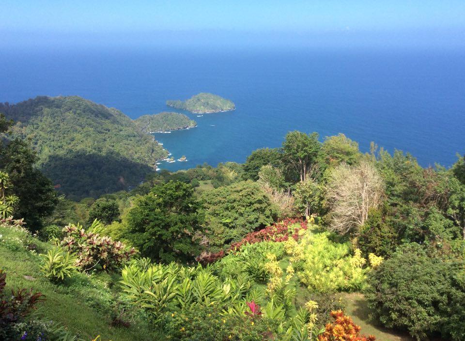 Отель Mahogany Ridge Arouca Экстерьер фото