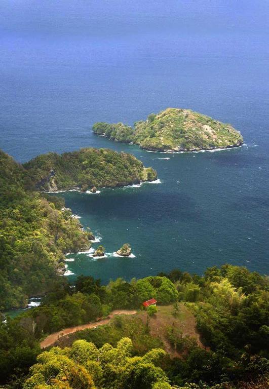 Отель Mahogany Ridge Arouca Экстерьер фото