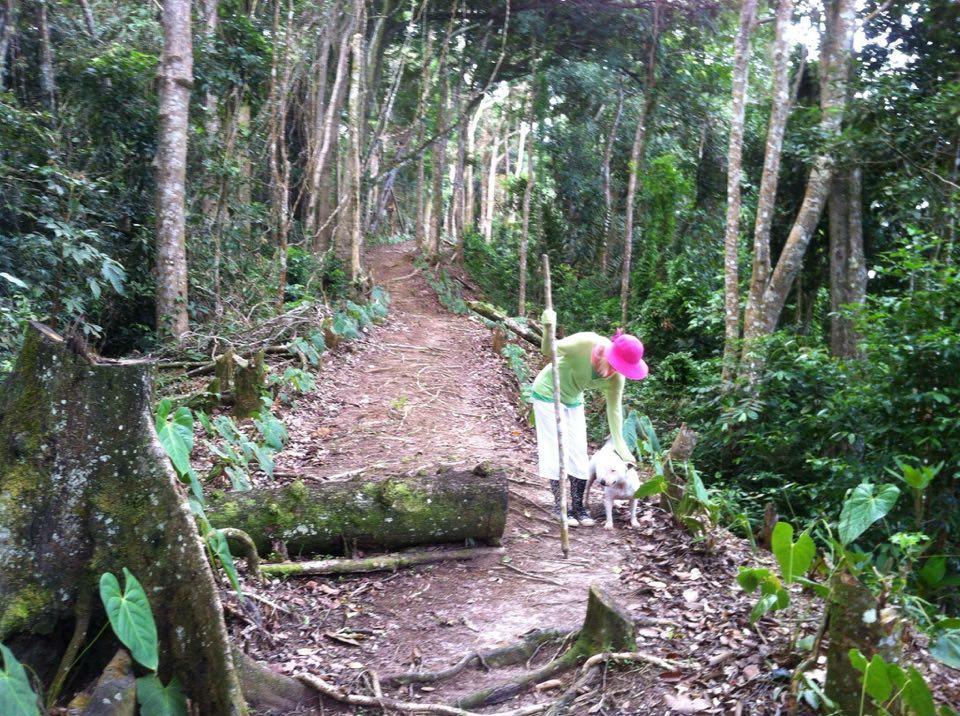 Отель Mahogany Ridge Arouca Экстерьер фото
