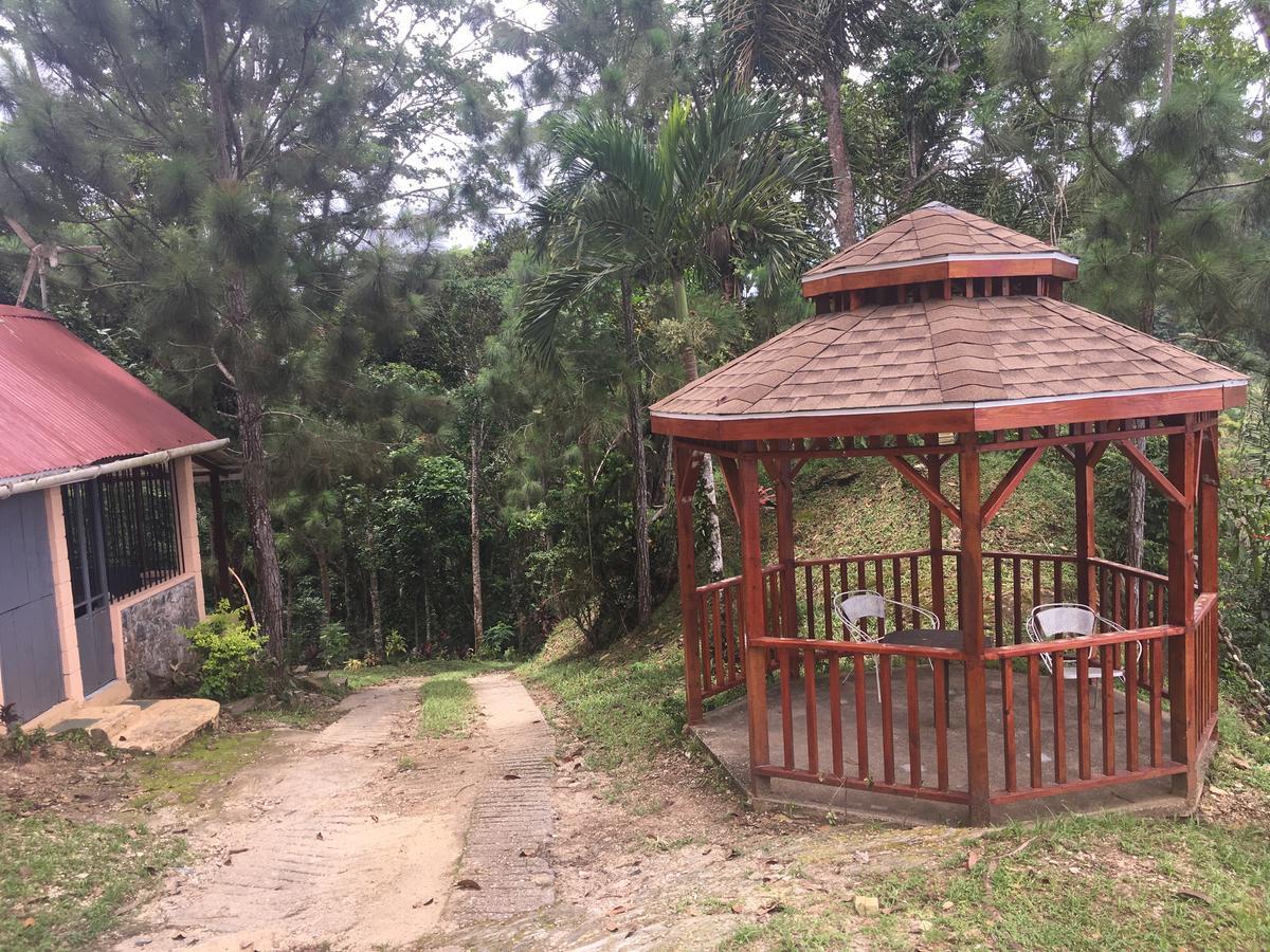 Отель Mahogany Ridge Arouca Экстерьер фото